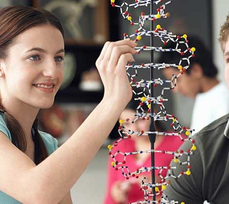 "Szomszéd néni mindig zöldebb"